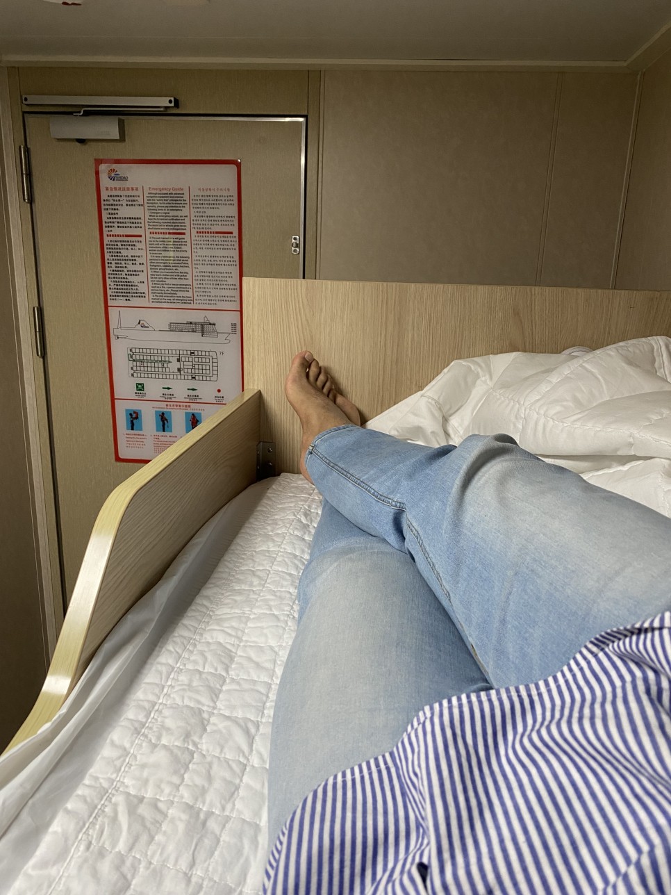 울릉크루즈