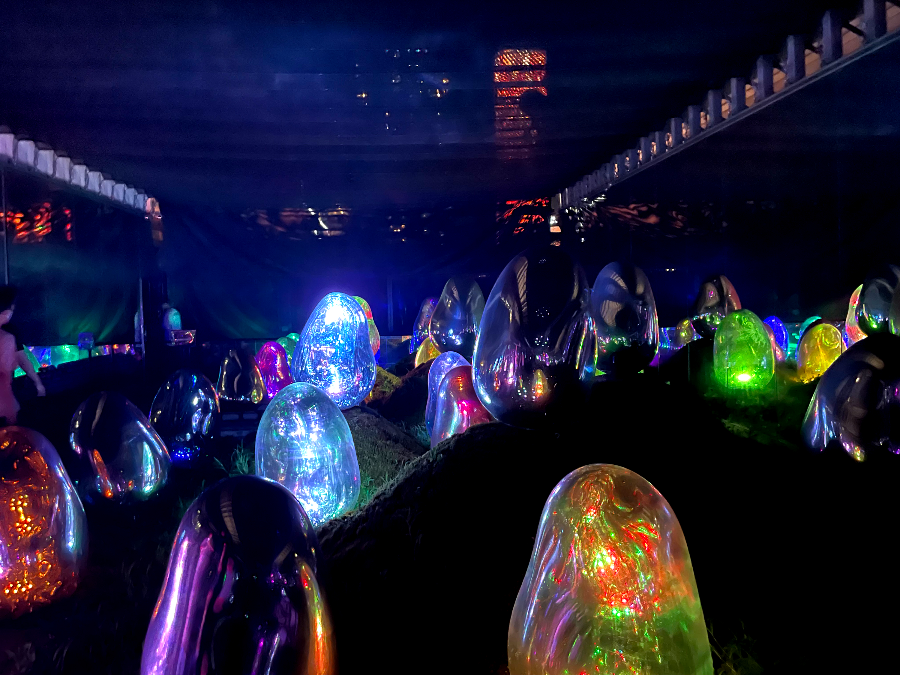 팀랩플래닛 관람 이끼 정원 속 공명하는 소우주, 고체화된 라이트 컬러