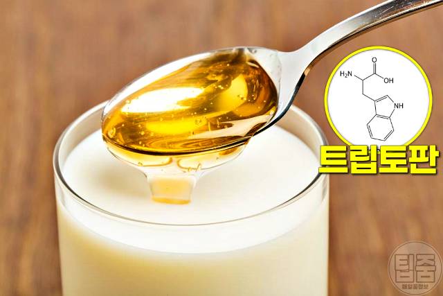 자율신경 회복 자율신경실조증 자연치유 우유