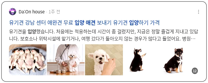 애견 입양_3_subsection