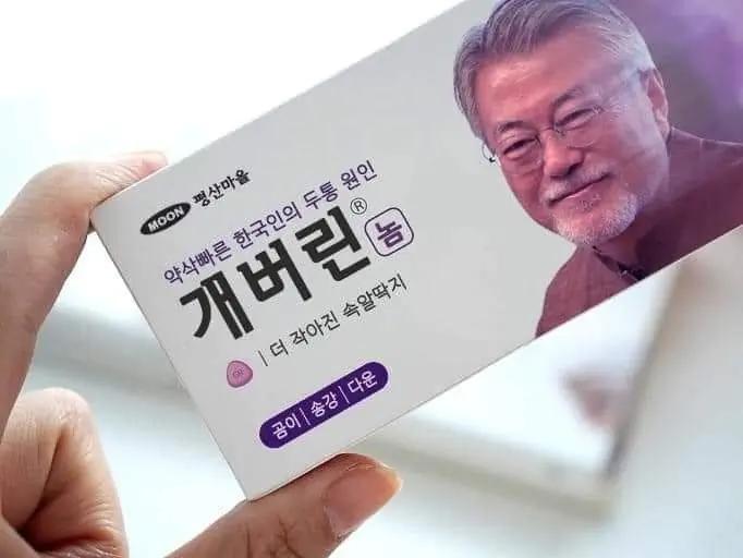 문재인 풍산개 파양 개버린