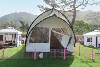 포천애견글램핑 포천 애견식당 당일치기 글램핑 해피캠핑 바베큐 바우어캠프 포천 완벽 체험_21