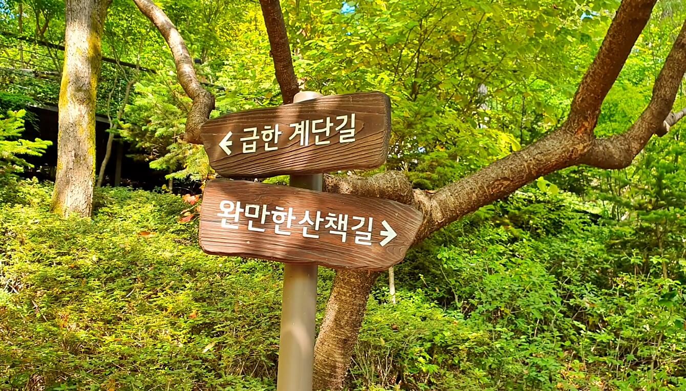 화담숲