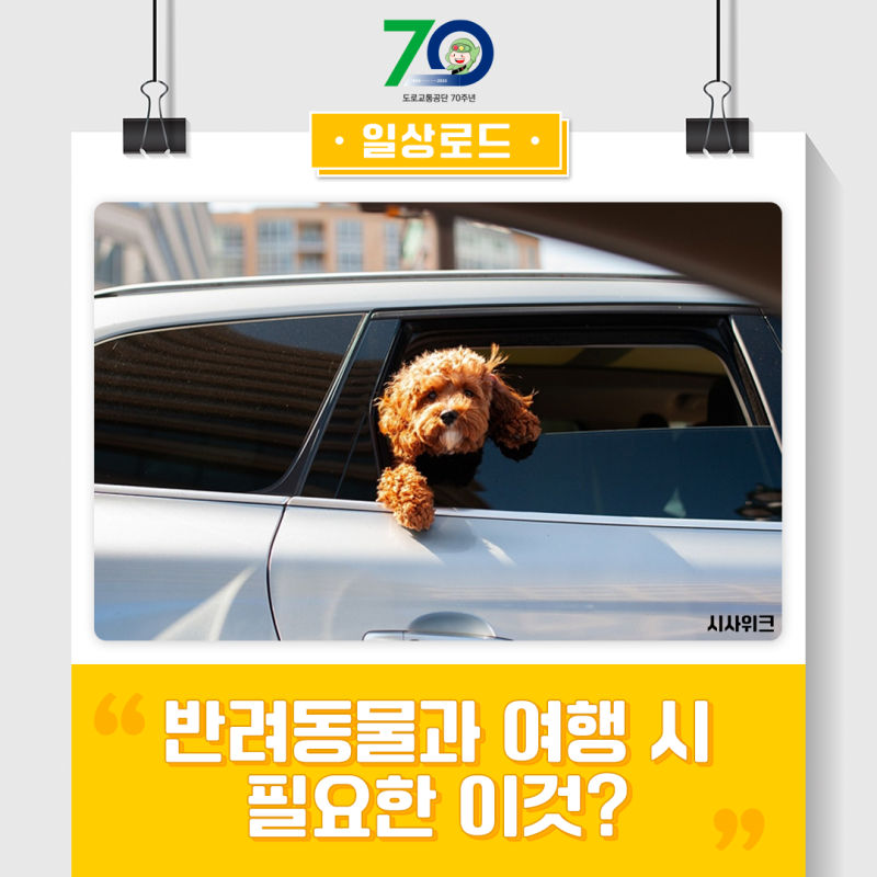 강아지와 함께 안전하게 여행하는 모습, 반려견 여행 주의사항 이미지