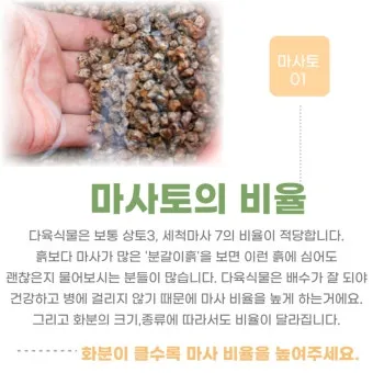 마사토 배합 비율 배수력개선 분갈이기본 시니어도 쉽게_10