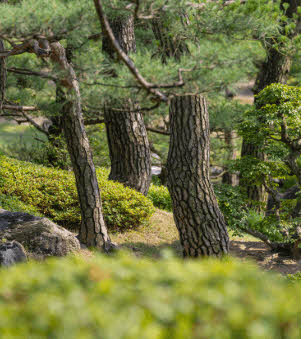 화담숲 추천 이유