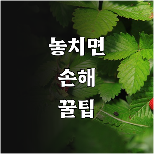 2025 기업 에너지 효율 향상! 탄..