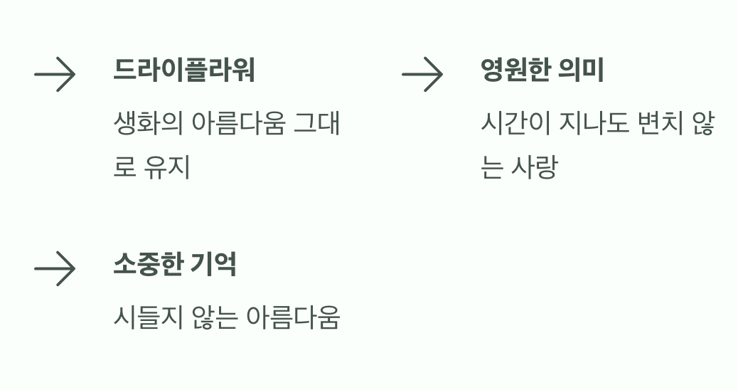 오래도록 변치 않는 아름다움