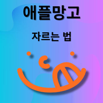 애플망고 자르는 법
