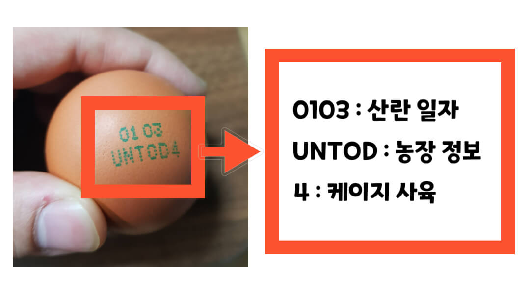 계란 고르는 팁 농장 정보 확인