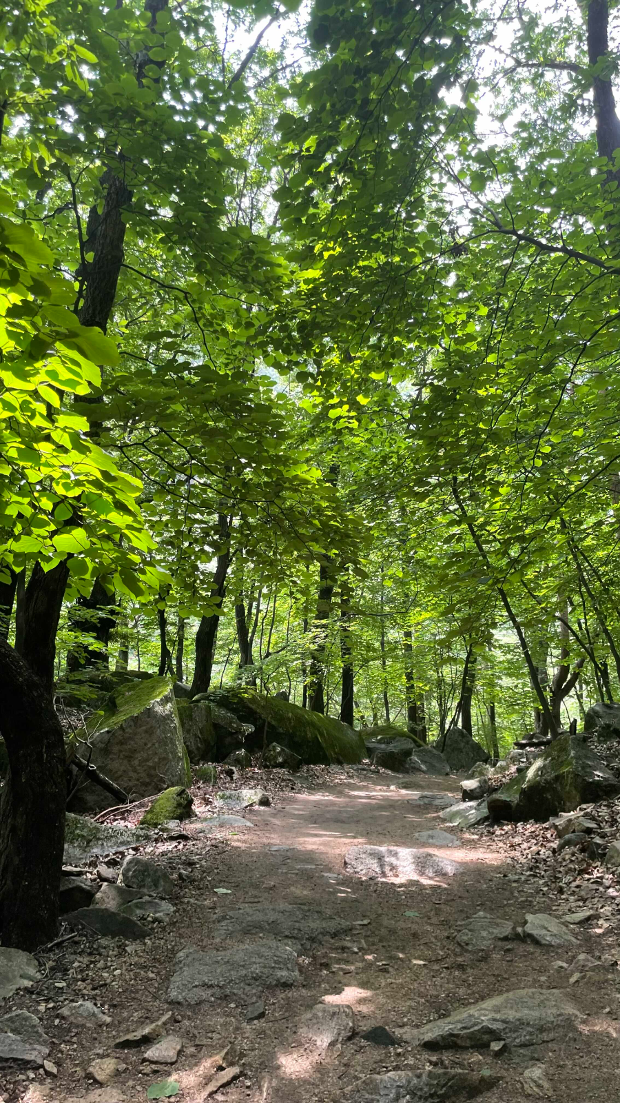 쌍폭포 가는 길