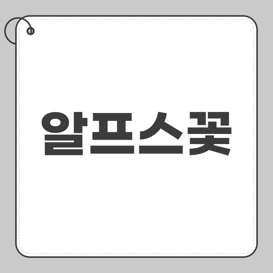 알프스꽃