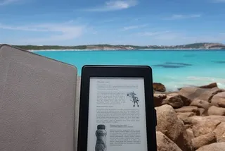 pdf 다운로드