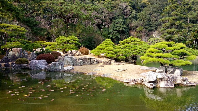 한국과 일본 비밀 명소