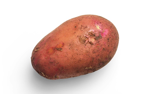 감자, 특성/용도/건강상이점/심는시기/추비/순치기/수확시기/보관법