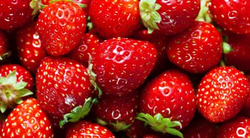 딸기의효능