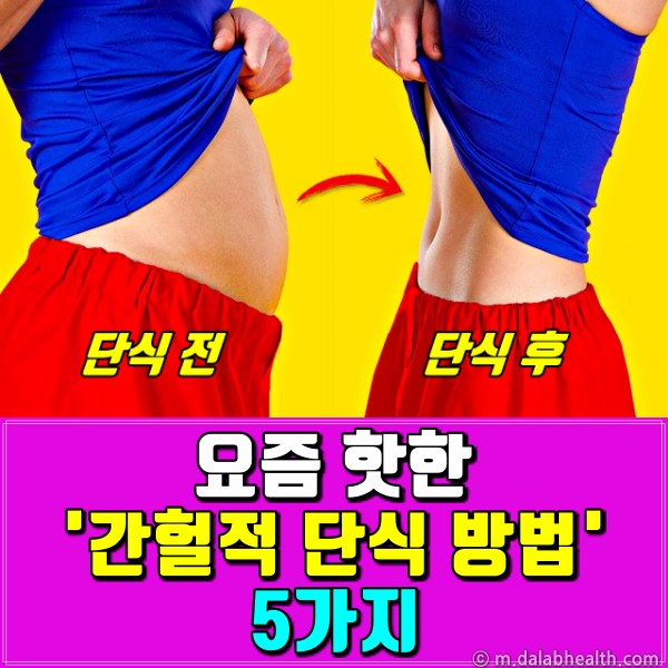 간헐적 단식 방법, 연예인 다이어트