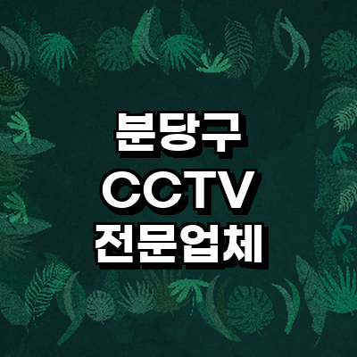 성남 분당구 cctv