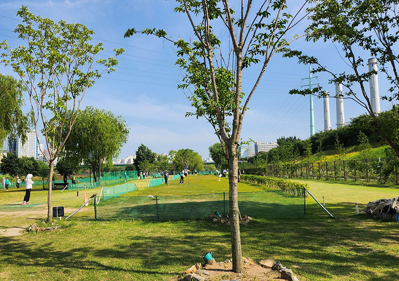 서울 영등포구 양평누리파크골프장 소개