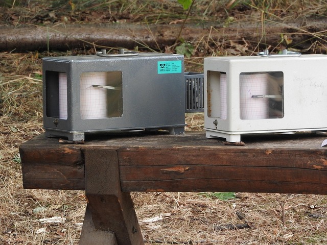 하늘 기록으로 배우는 나의 기후 패턴