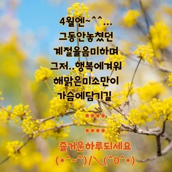 4월 인사말 모음 문구 이미지 일러스트_11