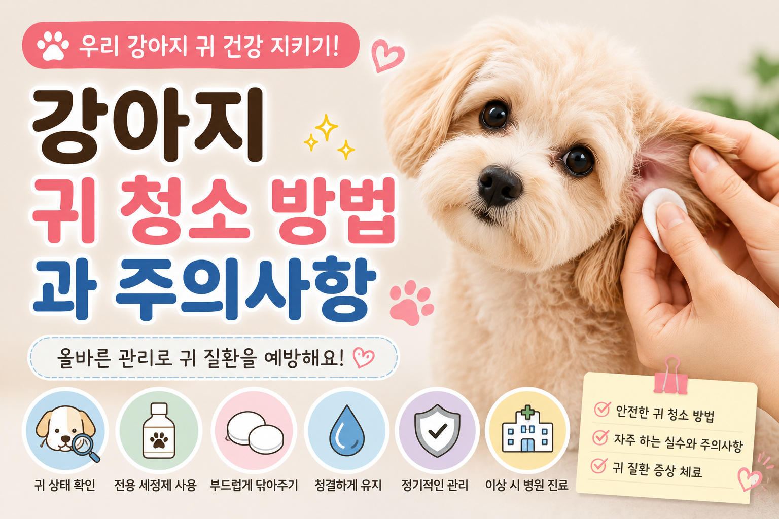 강아지 귀 청소 방법과 주의사항