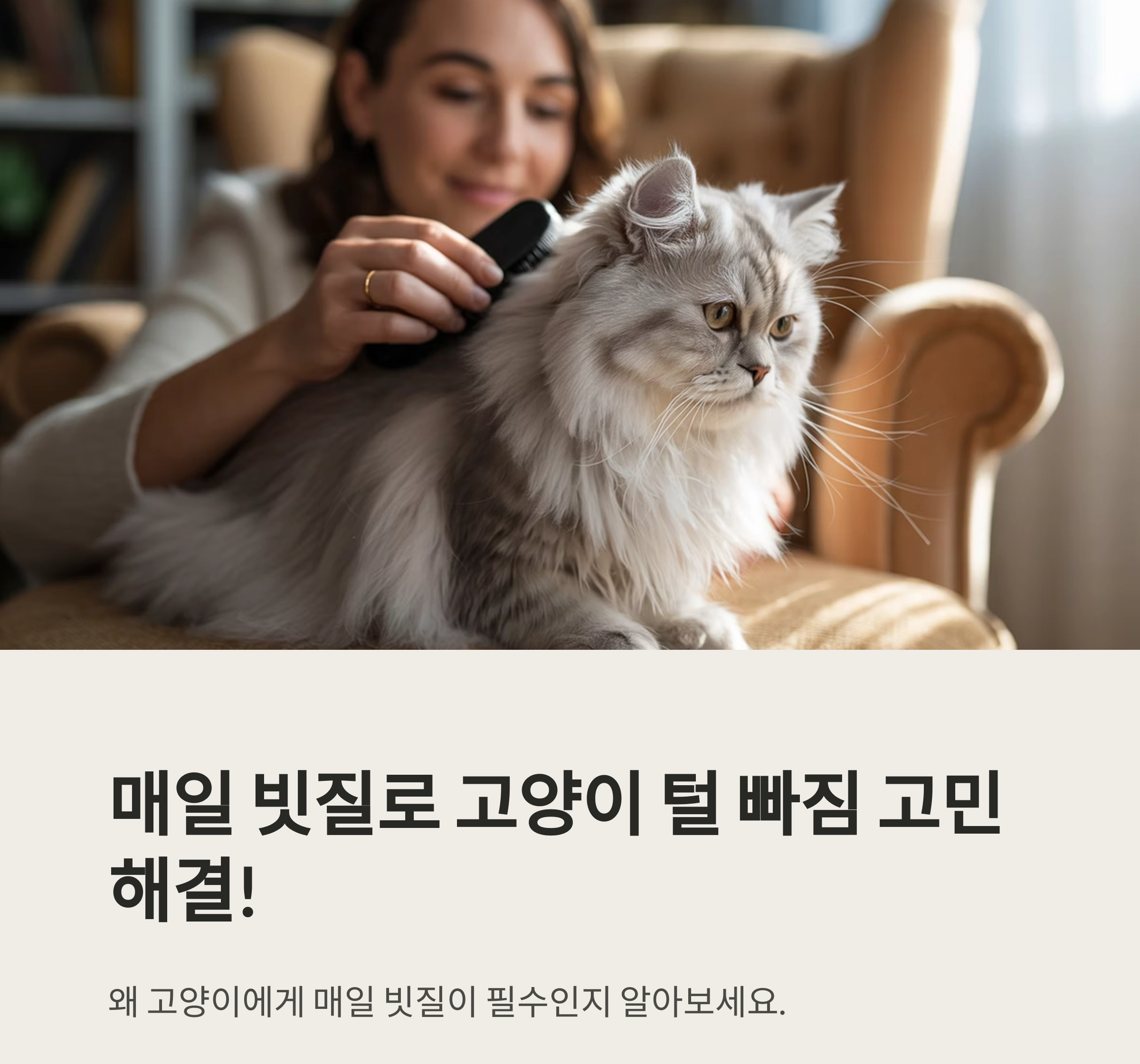 매일 빗질 : 고양이 털 빠짐을 막는 가장 쉬운 방법