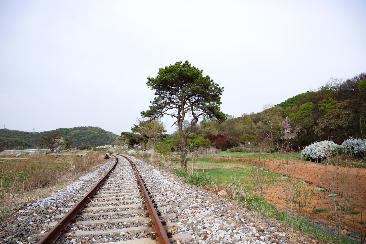 기차여행 내일로 관련 사진