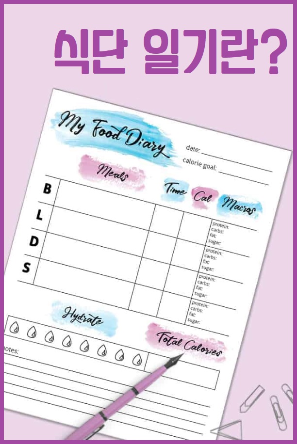 식단 일기