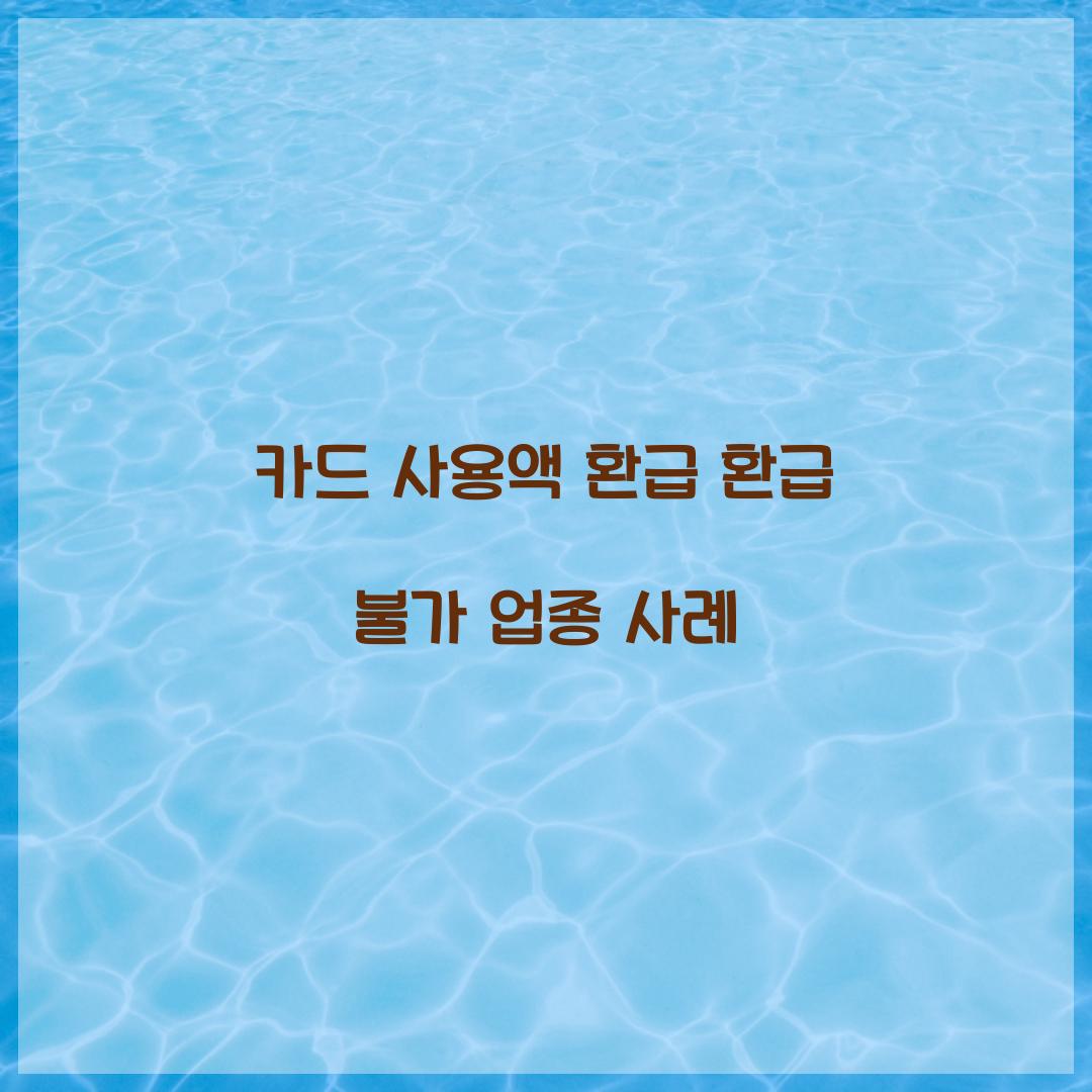 카드 사용액 환급 환급 불가 업종 사례