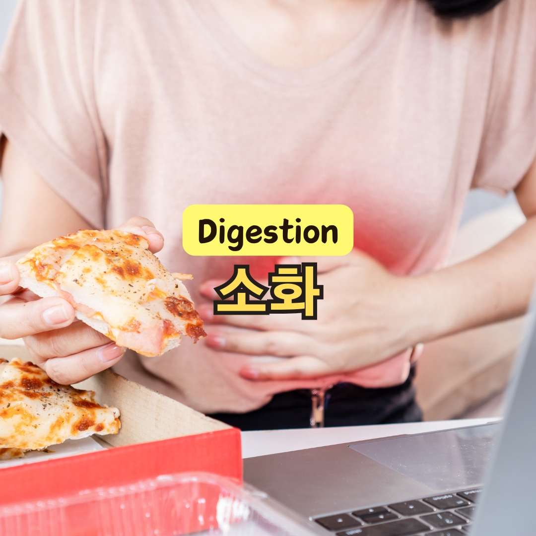 소화 잘되는 방법과 자세, 운동까지 한 번에 정리