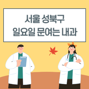 서울 성북구 일요일 내과 진료 병원 리스트