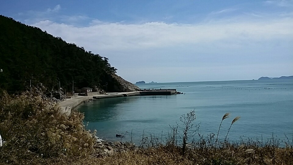 6시내고향 추도 낚시 민박