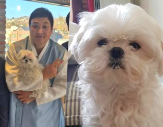 구성환 꽃분이 나이 무지개다리 사망 나혼산 국토대장정