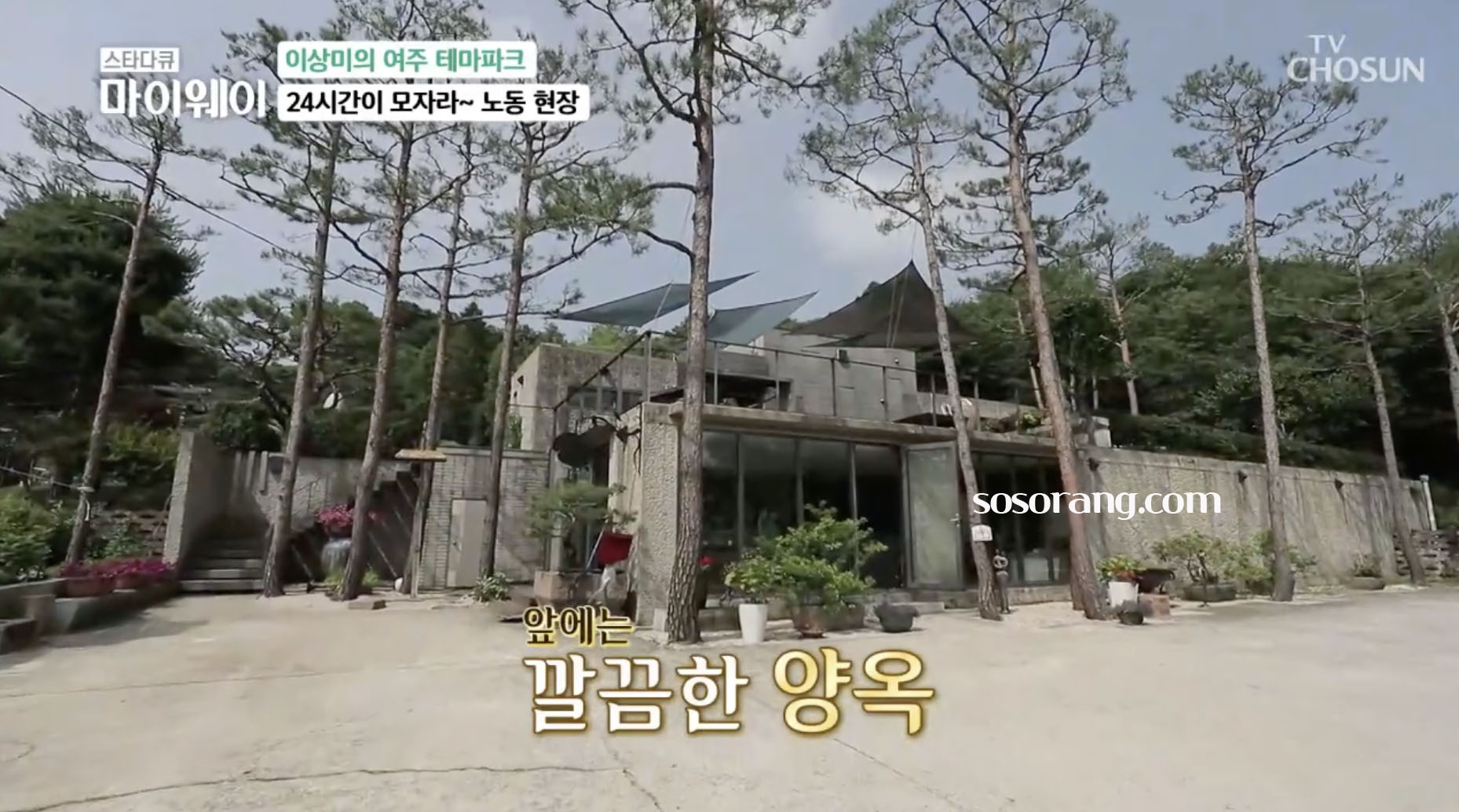 배우 이상미 여주 테마파크 전원생활 집 모습