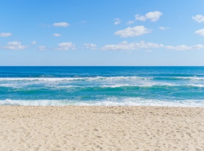 아름다운 안목해변2