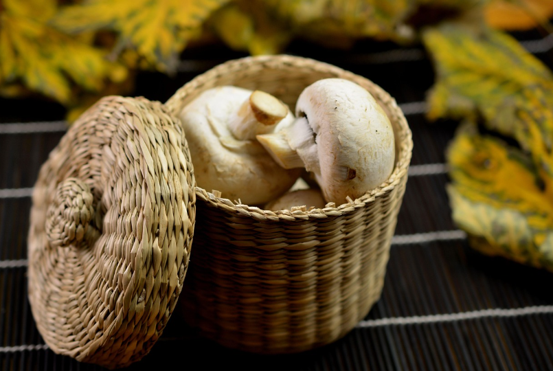 양송이버섯_주의사항