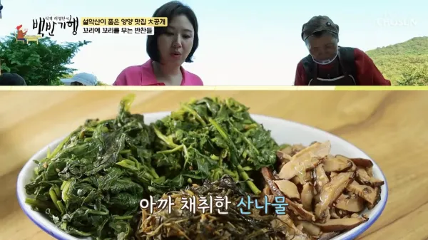 백반기행-청국장-산채비빔밥-양양