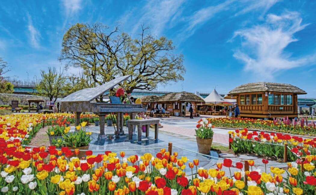 비슬산 등산코스