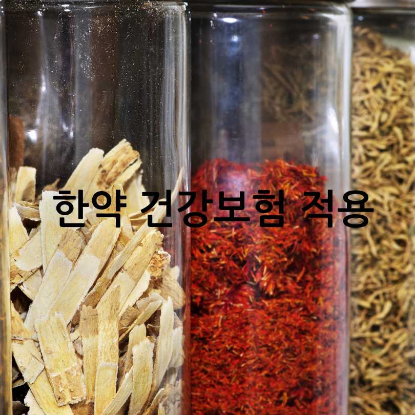 2025년 달라진 한약 첩약 건강보험 정책