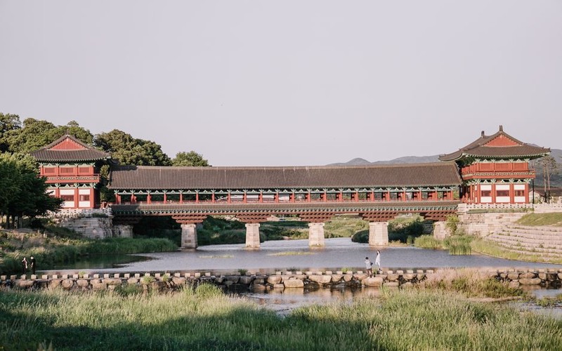 가을 국내여행지 추천 경주 첨성대 핑크뮬리 개화시기 및 주차·코스 총정리