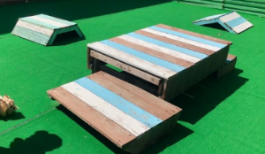 반려견과 함께하는 전국휴게소