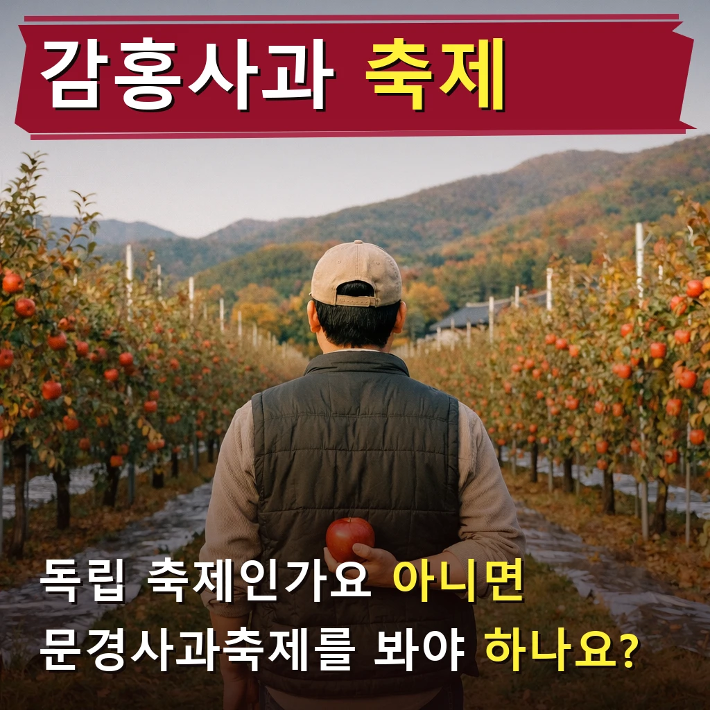 감홍사과 축제