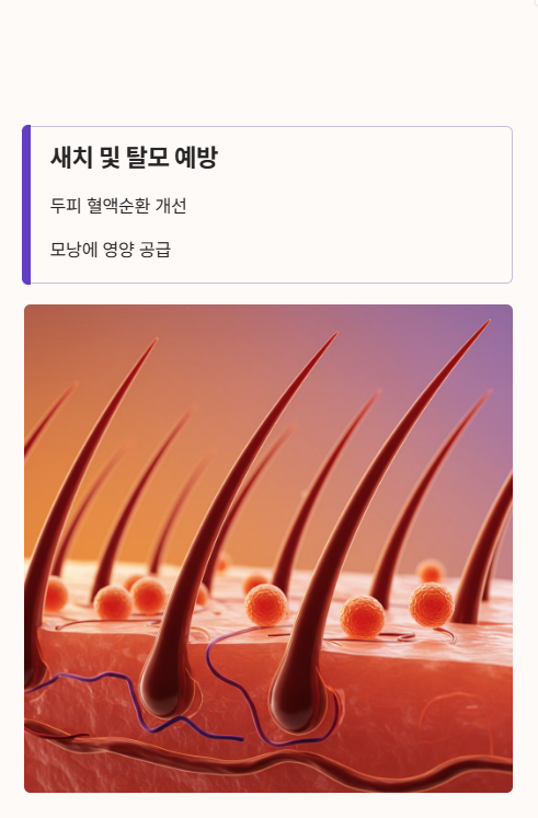 생들기름의 추가 효능