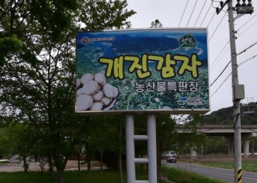 6시 내고향 경북 고령 개진감자 직판장 감자구매방법