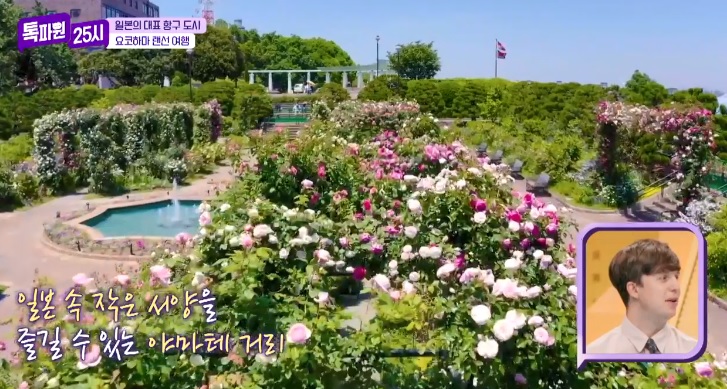 톡파원25시122화_일본여행_요쿄하마_야마테거리_항구가보이는언덕공원_미나토노미에루오카공원