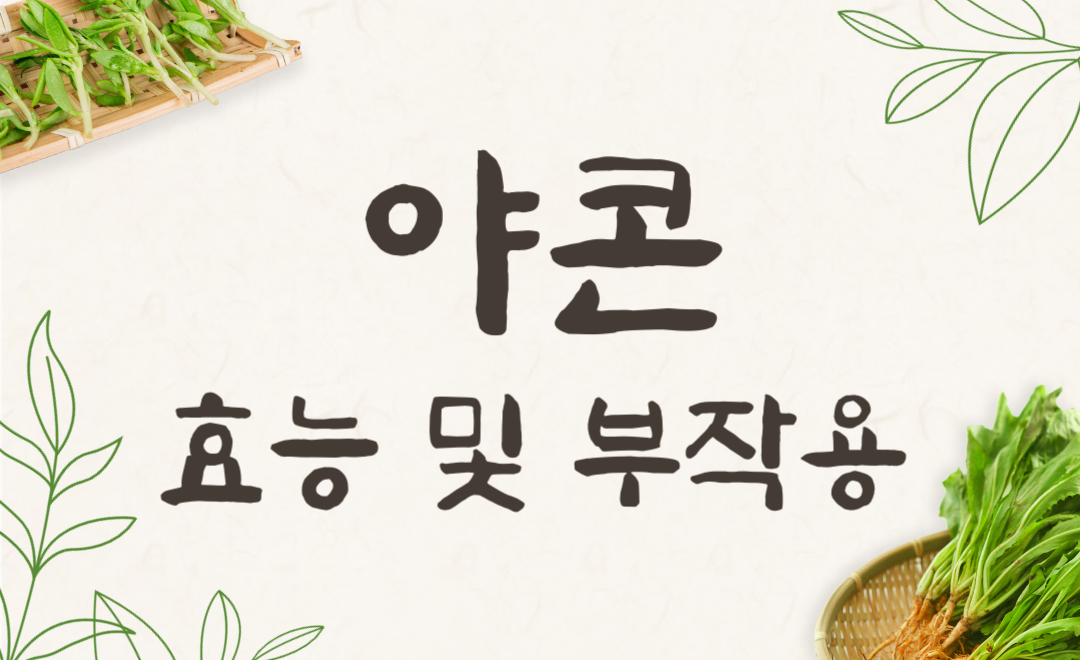 야콘 효능과 부작용, 먹는법까지 완벽 정리!