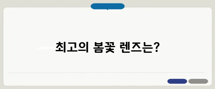 봄꽃 촬영 카메라 렌즈 추천 인물·풍경용