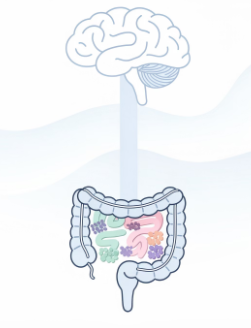 유산균 효능
