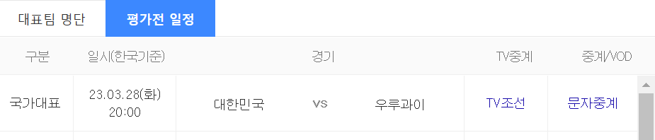 국가대표 평가전